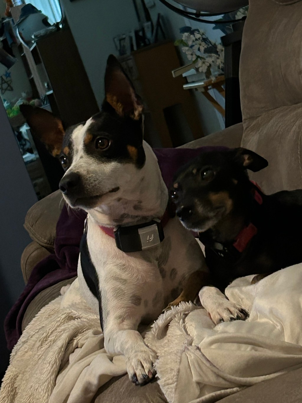 The Language of&nbsp;Licks